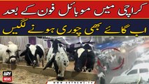 Robbers steal over 60 animals from Karachi