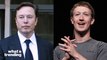 Elon Musk And Mark Zuckerberg Agree To Cage Fight