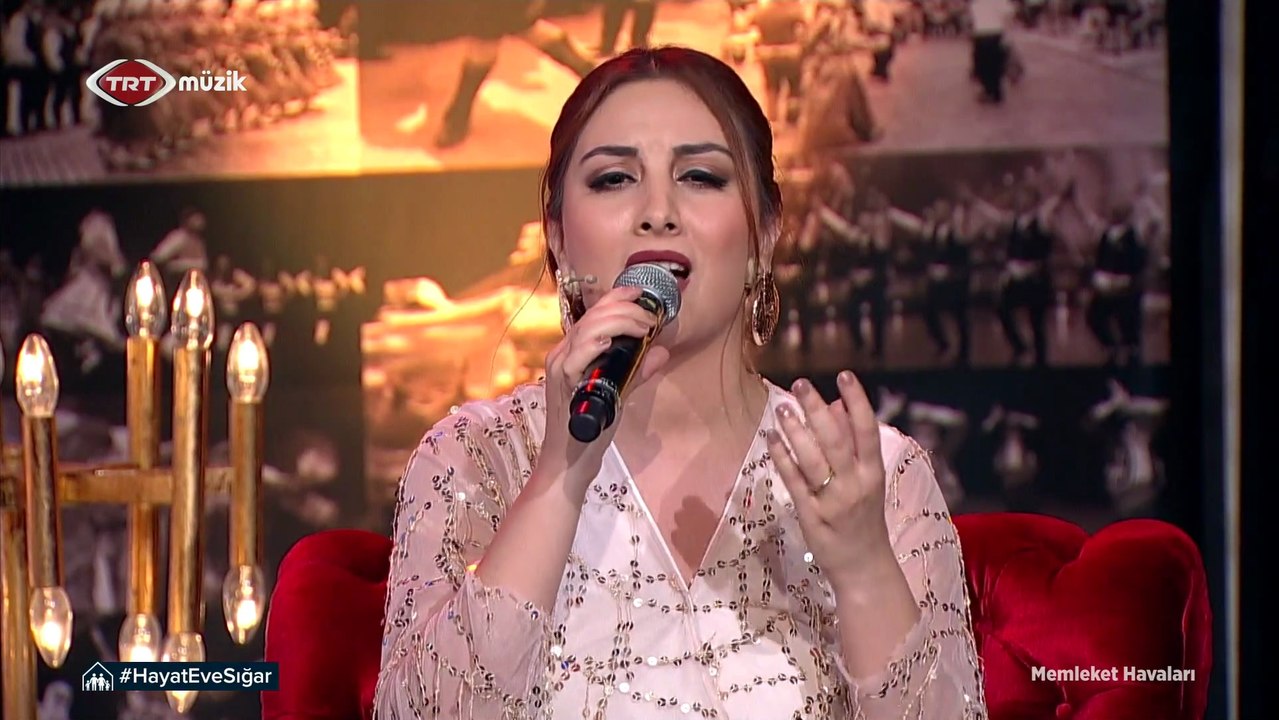 Elif Avcı / Yıktılar kalamızı