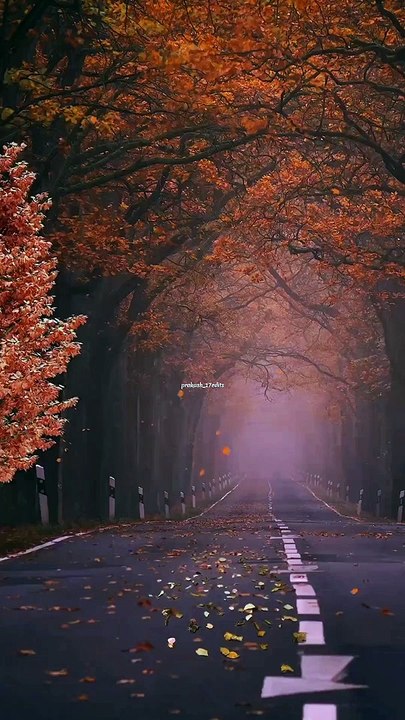 Khushi Tumhari ----__New Song_._.__prakash_17edits_._.__vishalmishraofficial _shreyaghoshal__kunaalvermaa _vyrloriginals_._.__zihaalemiskin _vishalmishra _shreyaghoshal _bollywoodsongs _newsong2023 _aest hetic _aestheticedits _lyricalvide(Vid