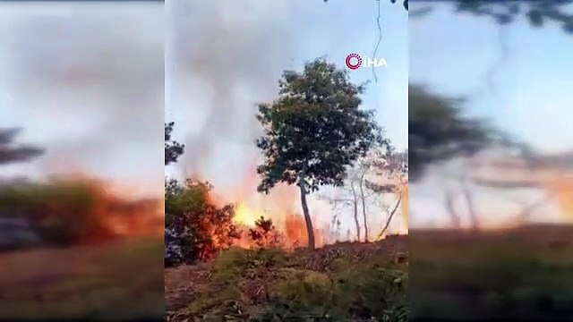 Incendie de forêt au Mexique： 10 maisons ont été évacuées 39 930 hectares de terres brûlées