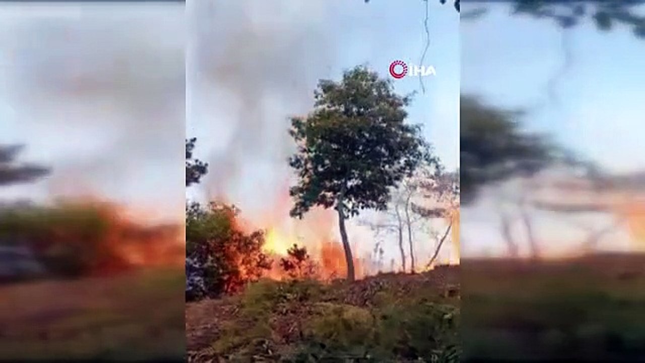 Incendie de forêt au Mexique： 10 maisons ont été évacuées 39 930 hectares de terres brûlées