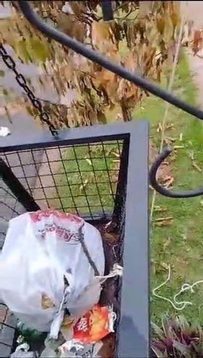 Um homem foi flagrado após ter feito uma arma artesanal para abater animais em uma lixeira, nesta quinta-feira (22), em Umuarama. Conforme a Polícia Ambiental, a situação foi descoberta depois de uma denuncia anônima. Ao chegar no local, os policiais abor