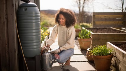What Is A Rain Barrel And Can It Actually Save You Money?