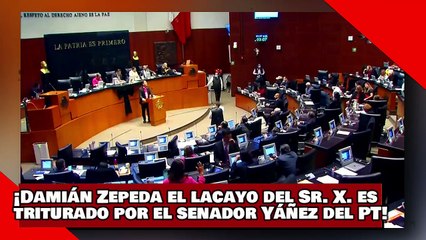 ¡VEAN! ¡Damián Zepeda el lacayo del Sr. X. es brutalmente triturado por el senador Yáñez del PT!