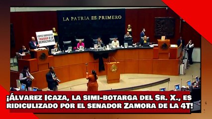 ¡VEAN! ¡Álvarez Icaza, la simi-botarga del Sr. X., es ridiculizado por el senador Zamora de la 4T!