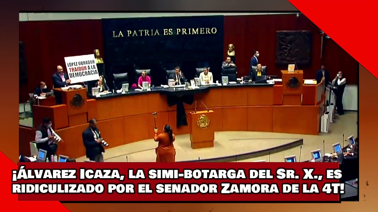 ¡VEAN! ¡Álvarez Icaza, la simi-botarga del Sr. X., es ridiculizado por el senador Zamora de la 4T!