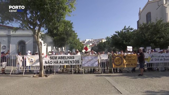 Apicultores exigem apoios ao Governo para evitar morte do setor e das abelhas