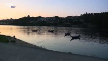 Jovem de 18 anos está desaparecido no rio Douro em Vila Nova de Gaia