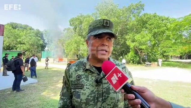 El Ejército mexicano incauta e incinera más de 200 kilos de narcóticos en Cancún