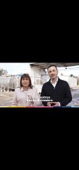 Bullrich petri
