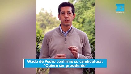 Wado de Pedro confirmó su candidatura: "Quiero ser presidente"