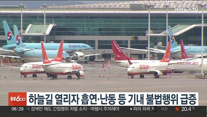 하늘길 열리자 흡연·난동 등 기내 불법행위 급증