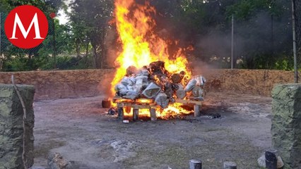 Incineran más de 250 kilos de droga en Quintana Roo
