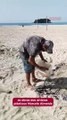 Prefeitura destrói esculturas de areia na orla de Balneário Camboriú