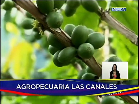 Mérida | Entregan maquinaria para proteger la producción en el mcpio. Antonio Pinto Salinas