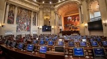 La puja por la Presidencia del Senado: cinco congresistas del Partido Verde suenan para el cargo