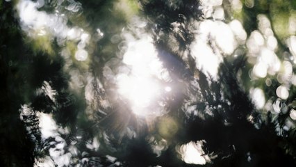 Akira Kosemura - Faraway (Visualizer)