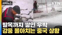 [자막뉴스] 물폭탄 쏟아진 중국...사람 날라가는 강풍 '초토화' / YTN