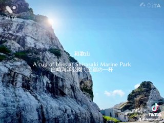 Wakayama   Shirasaki Marine Park  白崎海洋公園