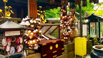 Wakayama   Jison-in Temple  慈尊院