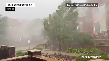 Tornado fells trees throughout Colorado community
