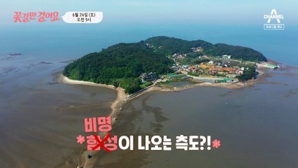 [예고] 섬마을 여장부 봉녀 씨의 바다 인생! 과연 그녀는 허리 건강을 되찾을 수 있을까?