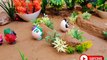 Stop Motion Fish Catching River - Mukbang Octopus, Crocodile, Egg Cartoon Eel Cooking Underground Tiny World+Stop Motion