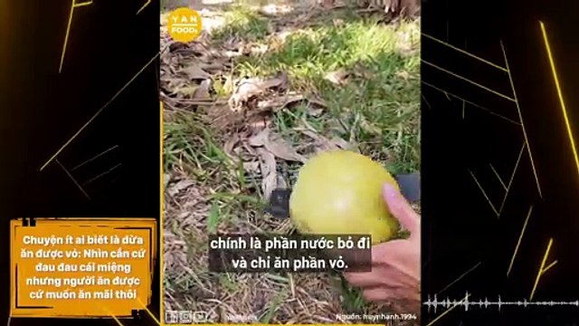 Chuyện ít ai biết là dừa ăn được vỏ: Nhìn cắn cứ đau đau cái miệng nhưng người ăn được cứ muốn ăn mãi thôi