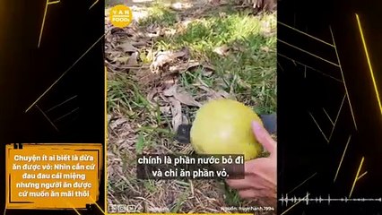 Chuyện ít ai biết là dừa ăn được vỏ: Nhìn cắn cứ đau đau cái miệng nhưng người ăn được cứ muốn ăn mãi thôi