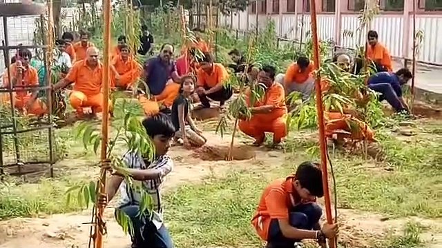 एक वार्ड ऐसा भी...मानसून में हर घर के बाहर लगेंगे दो पौधे, लोग लेंगे बचाने का प्रण