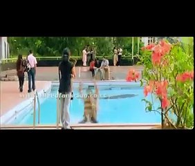 Bodyguard Bande-annonce (EN)