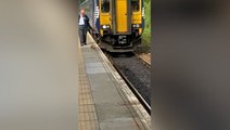 Glasgow-bound train slows down to let duck waddle down track at station