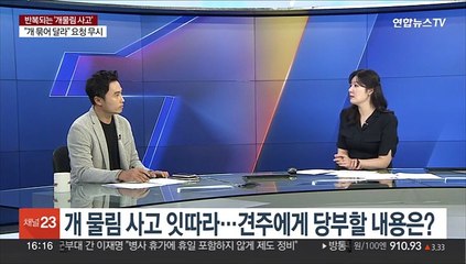[1번지이슈] "우리 개는 안 물어요"…반복되는 '개물림 사고' 대책은?