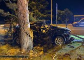 Otomobil refüjdeki ağaca çarptı; astsubay öldü, eşi ağır yaralı