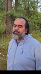 जंगल जाने के फ़ायदे || आचार्य प्रशांत