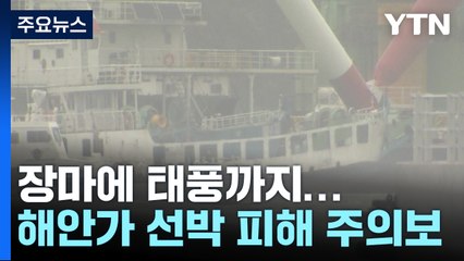 [현장점검] 장마 장기화·강한 태풍 우려...해안가 선박 피해 주의 / YTN