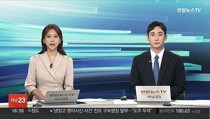 정부, 베트남에 40억 달러 경제협력 자금 지원