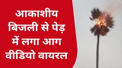 बलिया: आकाशीय बिजली गिरने से धू-धू कर जला पेड़, लोगों ने बचाई अपनी जान
