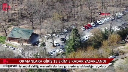 İstanbul'da ormanlık alanlara giriş yasaklandı