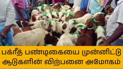 ராணிப்பேட்டை: பக்ரீத் பண்டிகை-ரூ.3 கோடிக்கு ஆடுகள் விற்பனை