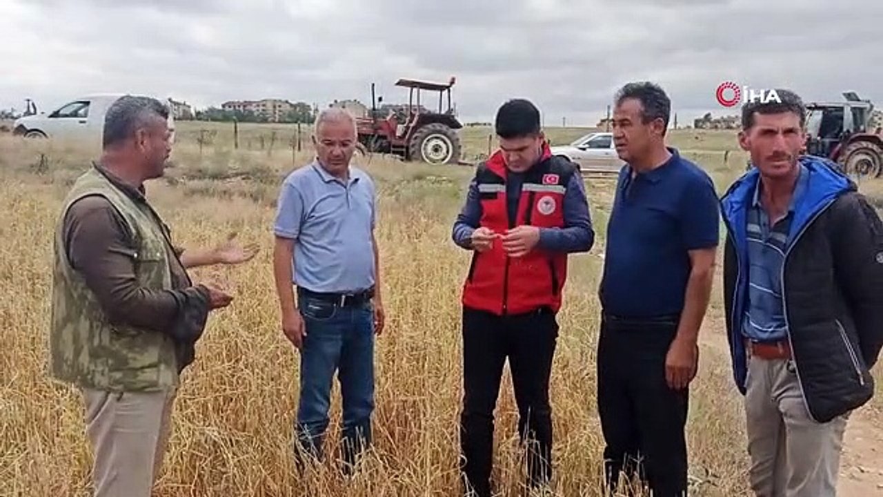 Dolu yağışı, çiftçinin bir yıllık emeği ve alın terini götürdü