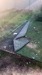 Dirty Doggy Dives Into Duvet