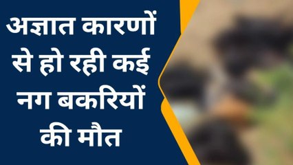 हटा: 25 बकरियों की मौत से किसान हुये परेशान,लगाई गुहार