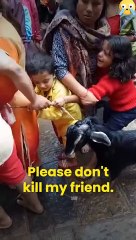 Loving Kids Trying To Save Their Friends