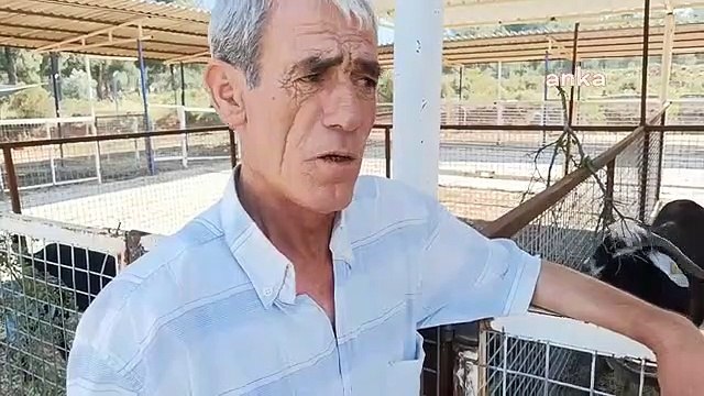 Les ventes de sacrifices sont faibles, les éleveurs ne peuvent pas se permettre les coûts