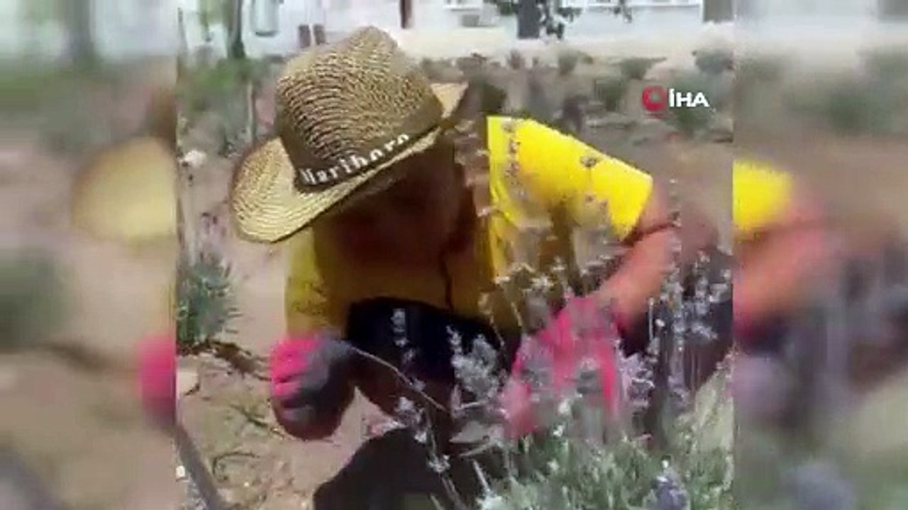Exportation vers l'Allemagne depuis l'école du village de Şırnak