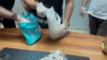 İstanbul'da tarihi eser kaçakçılığı operasyonu: 2 bin 295 sikke ve 44 ok ucu ele geçirildi