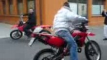 pino moto