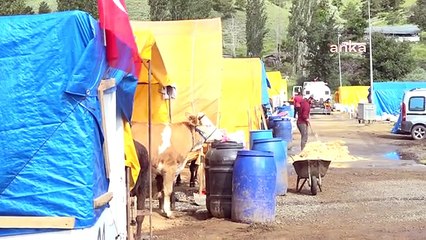 Çankaya Belediyesi Kurban Kesim Alanında İlaçlama Yapıyor